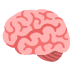 :brain: :brain: