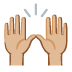 :raised_hands:t3: :raised_hands:t3: