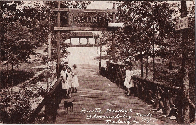 Bloomsbury Park Bridge