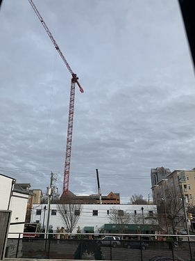 301cranes