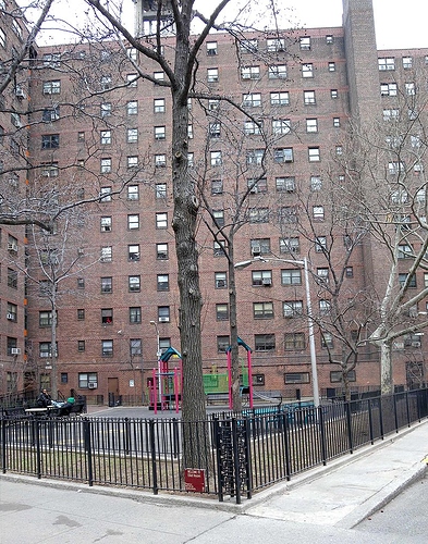 800px-Chelsea_Elliiot_NYCHA_jeh