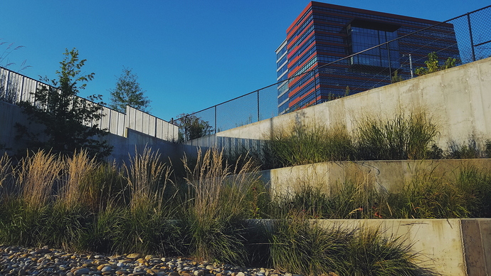 2020-08-26 01.56.25 1