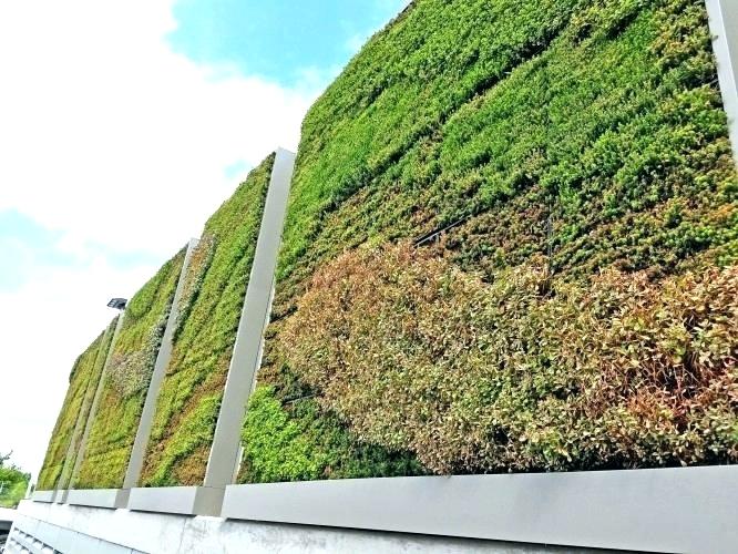 outdoor-living-walls-the-delightful-images-of-wall-plants-indoor-green-garden-vertical-planting-system-planters-wrought-iron